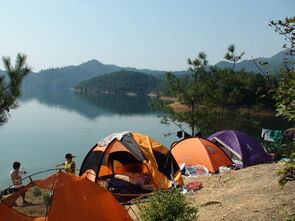 富陽同舟戶外運(yùn)動(dòng)策劃 開啟探索旅行新篇章