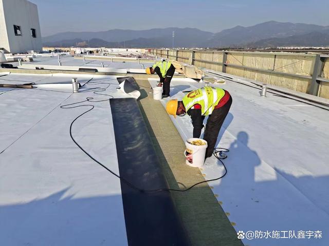 新型TPO防水卷材施工技術(shù)解析及其市場銷售策略