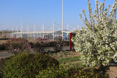 工廠綠化園林與園林景觀設計的融合實踐